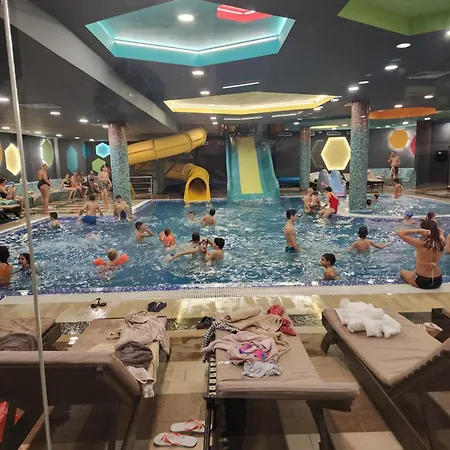 Ebra Kraljevi Cardaci *